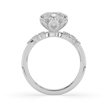 4ct_w